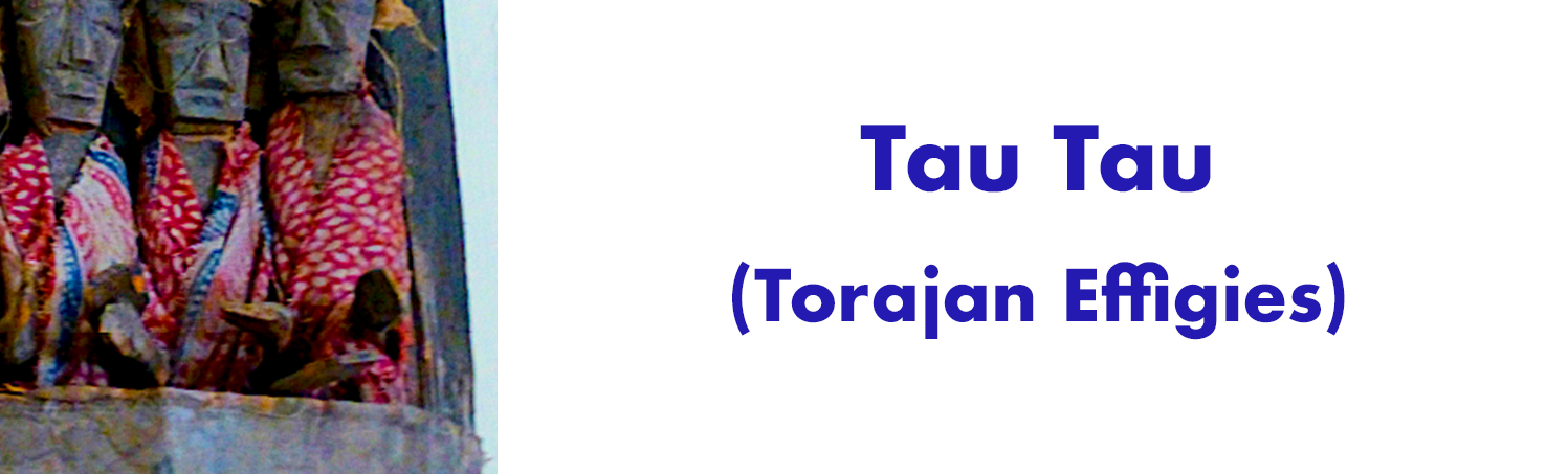 TauTau
